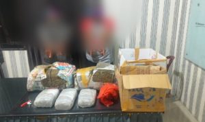 Personil Satresnarkoba Polres Tanah Karo Berhasil Ringkus Pengedar Ganja
