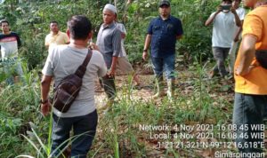 Oknum Jaksa Tapsel Diduga Klaim Lahan Kebun Milik Warga, Ini Kata Kasi Intel Kejari