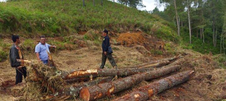 Kawasan Hutan Dirambah di Ajibata, 1 Exavator Disita, 4 Tersangka Ditahan