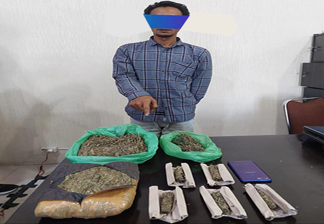 Satnarkoba Polres Karo Amankan Bandar Ganja di Desa Tanjung Merawa