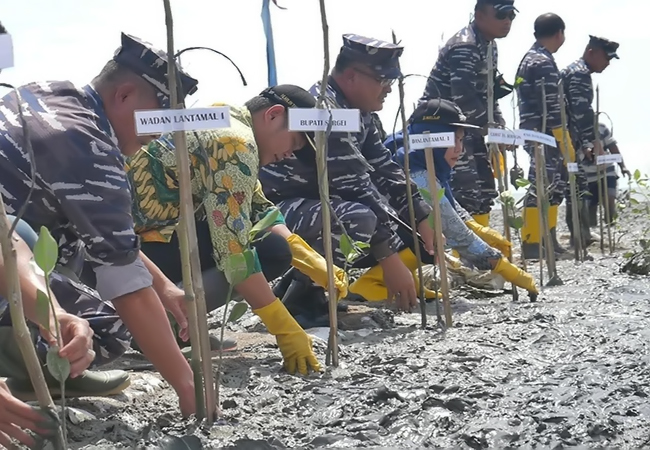 Pemkab Sergai - Lantamal I Belawan Tanam 15 Ribu Pohon Mangrove