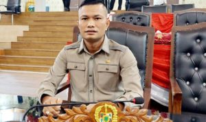 Ketua Komisi IV DPRD Medan Desak Dinas Kebersihan Pertamanan Rutin Perawatan Pohon
