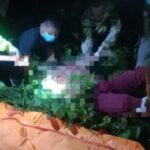 Geger! Mayat Wanita Di Paluta Ditemukan Di Ladang Padi