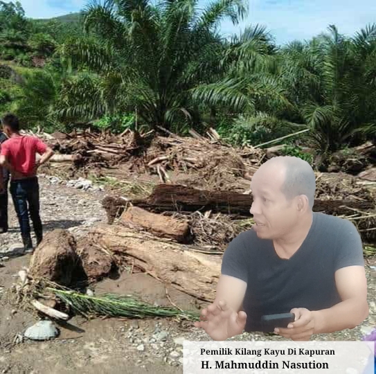 Bekingi Illegal Logging Di Tapsel, Pemilik Kilang Kayu Di Kapuran Bantah Aseng Naga