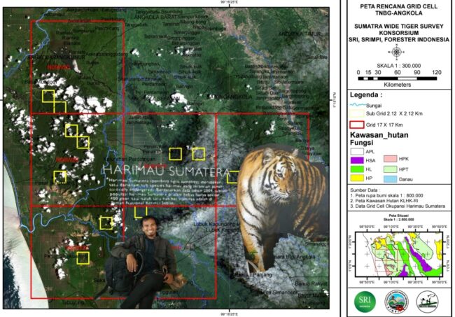 Aparat Terkait Diminta Tangkap Perambahan Hutan Tapsel Yang Menganggu Habitat Harimau Sumatera