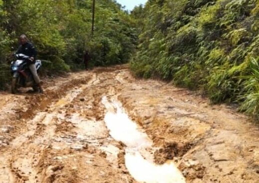 Miris! Puluhan Tahun Jalan Desa Mandalasena Tapsel Mirip Kubangan Kerbau