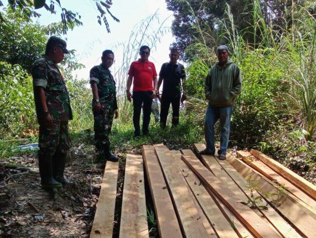Bukti Nyata! Illegal Logging Di Mosa Tapsel Ditemukan TNI Dan HMB