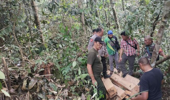 SAH! Aktifitas illegal logging Di Mosa Tapsel Ditemukan, Siapa Pelaku Dan Penampungnya