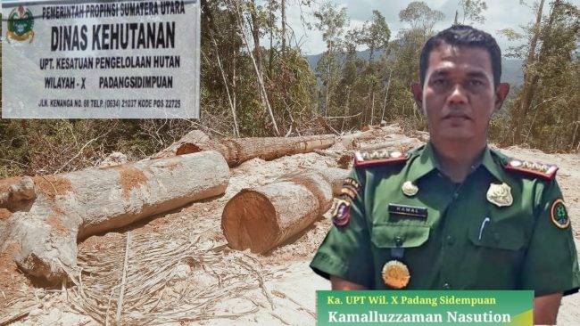 Marak illegal Logging Di Tapsel, Kinerja KPH X Psp Dinilai Tidak Ada Manfaat