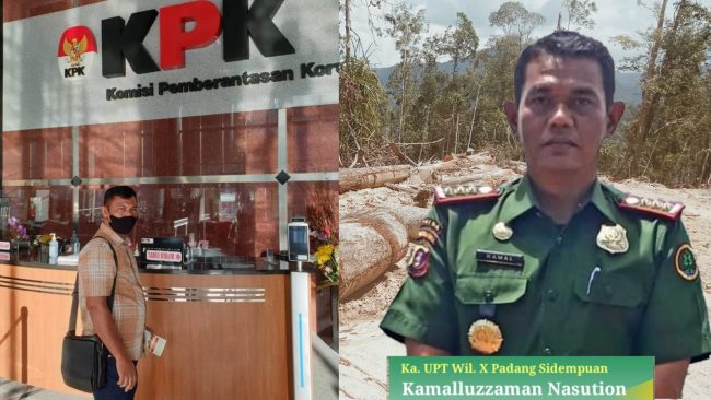 Miris illegal Loging di Tapsel, Kanit KPH Wil X Padang Sidempuan Dinilai Tutup Mata