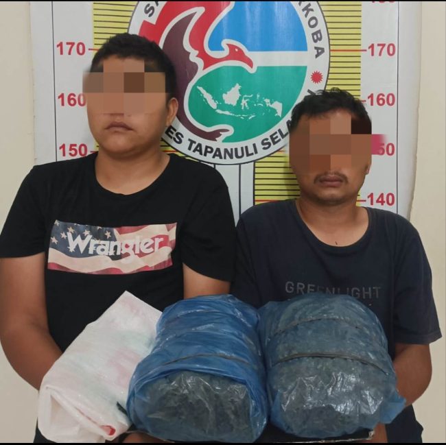 Miliki Ganja 2 Kg, Dua Pria Warga Sihepeng Digulung Polres Tapsel