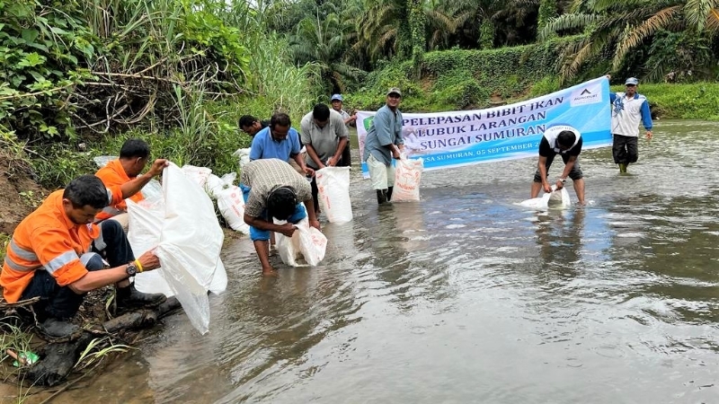 Lestarikan Perairan Batangtoru, PT.AR Perluas Lubuk Larangan Sepanjang 8 KM