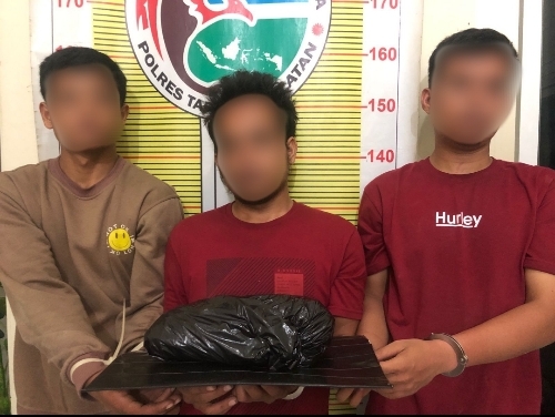 Sempat Kabur, Tiga Pria Kurir Ganja Akhirnya Berhasil Diringkus Polisi