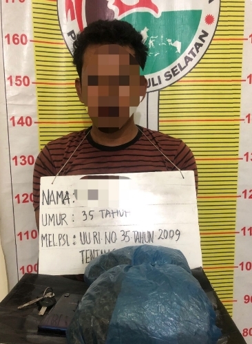 Bawa Ganja 700 Gram Asal Madina, Kurir Narkoba Ini Akhirnya Ditangkap Polisi