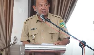 Syah Afandin Buka Sosialisasi Program Bunda Asuh dan Keluarga Risiko Stunting