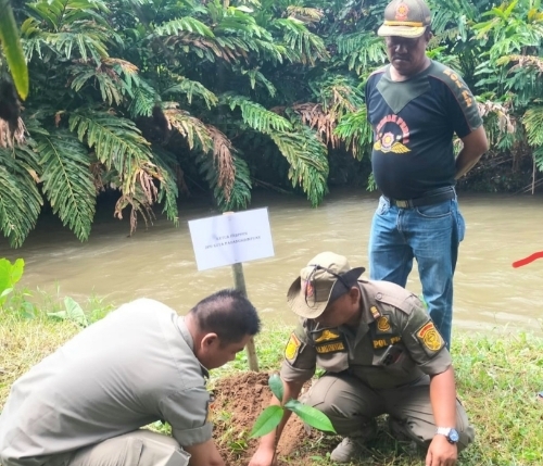 Wujud Peduli Lingkungan, FKBPPPN Kota P.sidimpuan Tanam Ratusan Bibit Pohon