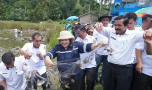 Bupati Karo Hadiri Panen Ikan (Mburtas Tambak) di Tambak Mbelang Desa Susuk