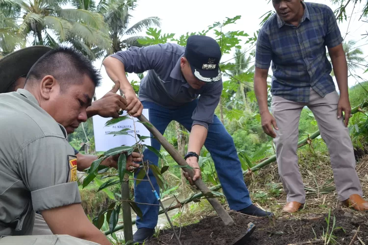 Wujud Peduli Lingkungan, FKBPPPN Kota P.sidimpuan Tanam Ratusan Bibit Pohon