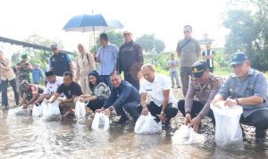 Bupati Tapsel Tebar Benih Ikan Nila di Muara Purba Nauli dan Sori Manaon