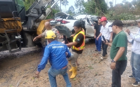 Pohon Tumbang Timpa Mobil, 1 Orang Pekerja PLTA Asal Cina Tewas di Proyek