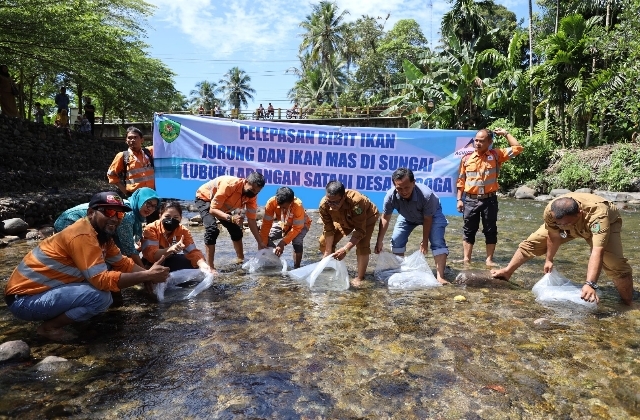 Jaga Ekosistem Perairan Lestari, PT AR Tebar Bibit Ikan di Lubuk Larangan