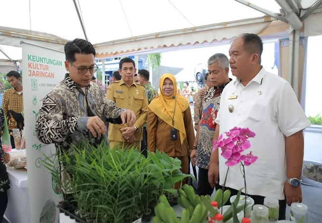 Wabup Asahan Tinjau Job Fair Pemprov Sumut