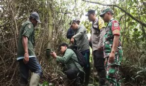 Dugaan Jejak Kaki Harimau, Pemkab Dairi - BBKSDA Pasang Kamera Trap
