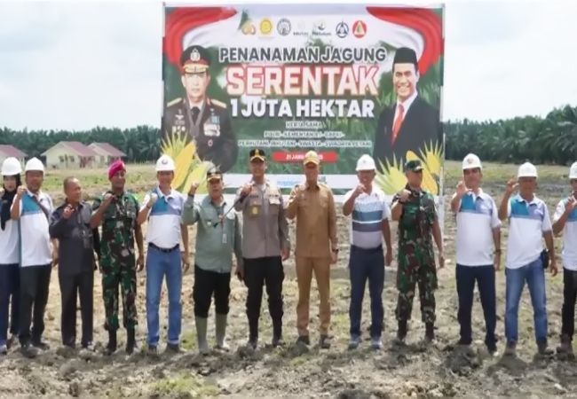 Penanaman Jagung Serentak 1 Juta Hektar Dilakukan di Langkat