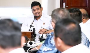 Pemprov Sumut Turun Tangan Atasi Hama Lalat Buah, Upaya Kembalikan Kejayaan Jeruk Karo