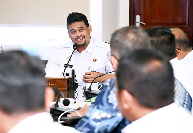 Pemprov Sumut Turun Tangan Atasi Hama Lalat Buah, Upaya Kembalikan Kejayaan Jeruk Karo