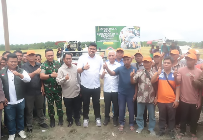 Presiden Pimpin Panen Raya Serentak, Sergai Ambil Bagian Perkuat Swasembada Pangan